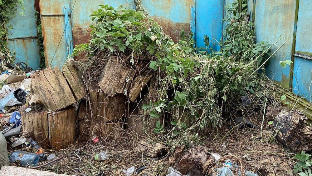 Дрова на топку для печки