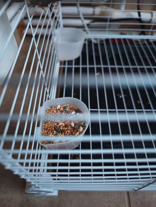 Cușcă  colivie voliera  mare papagali 80x36x36