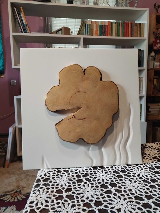 Decor felie lemn fag