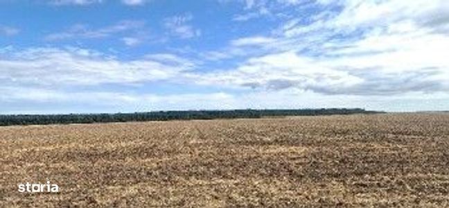 Teren extravilan Branesti, ID: R2649181
