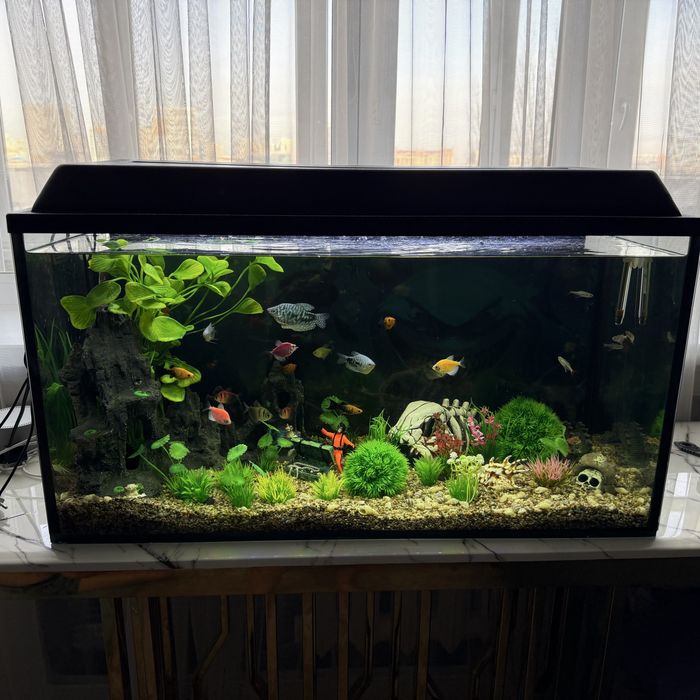 Продам аквариум