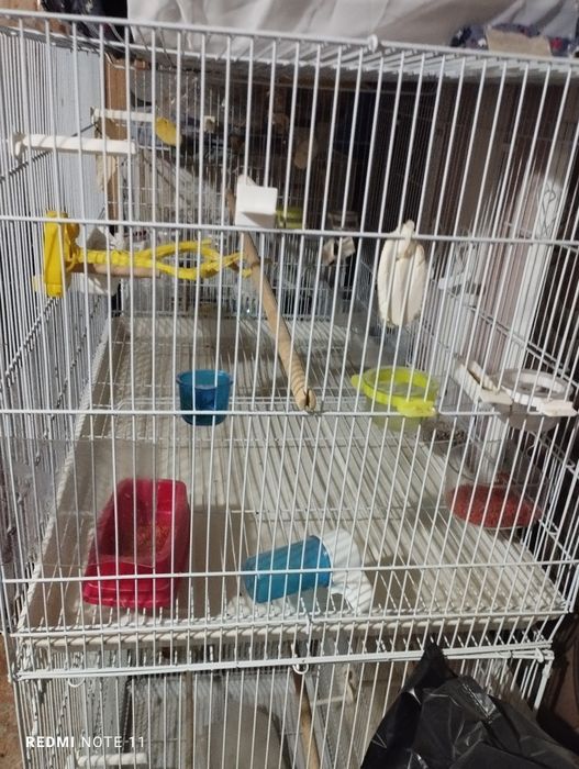 Кушлар учун кафас сотилади. Ахволи Зур  Зур.