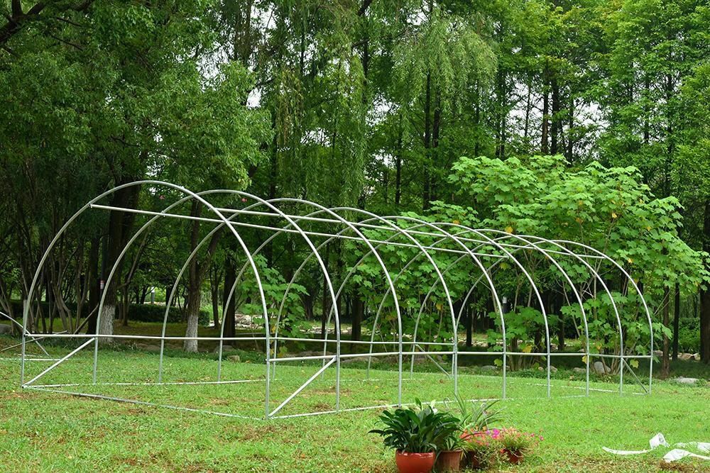 Solar gradina cu schelet metalic 6 x 3 m cu ferestre de aerisire