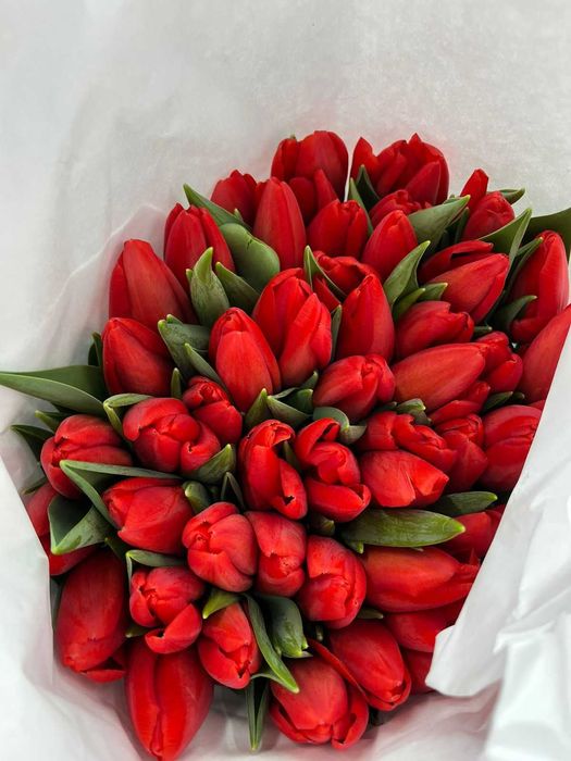 ТЮЛЬПАНЫ шикарные,  крупные, Казахстанские