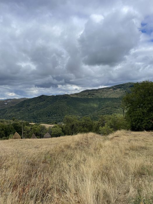 Vand teren, casa si grajd lemn Damis