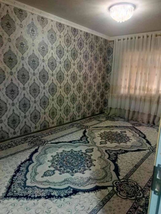 2 хонали ижара Кора Камыш 1/2 Сой буи Ривера