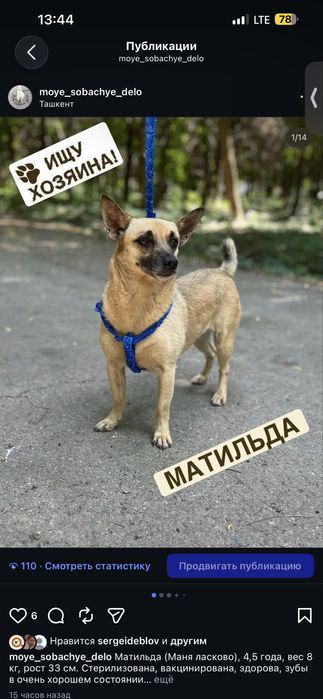 Матильда ищет свою семью!