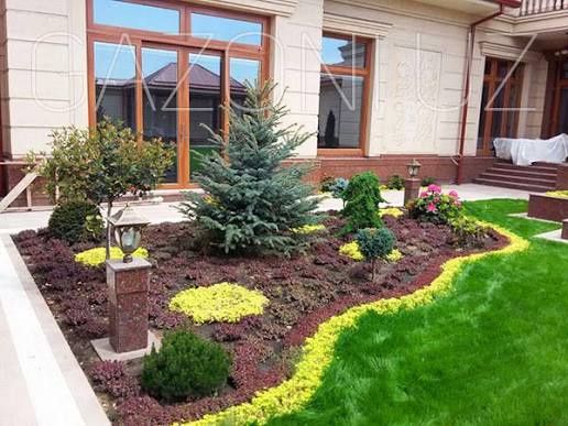 Газон и ландшафты дизайн