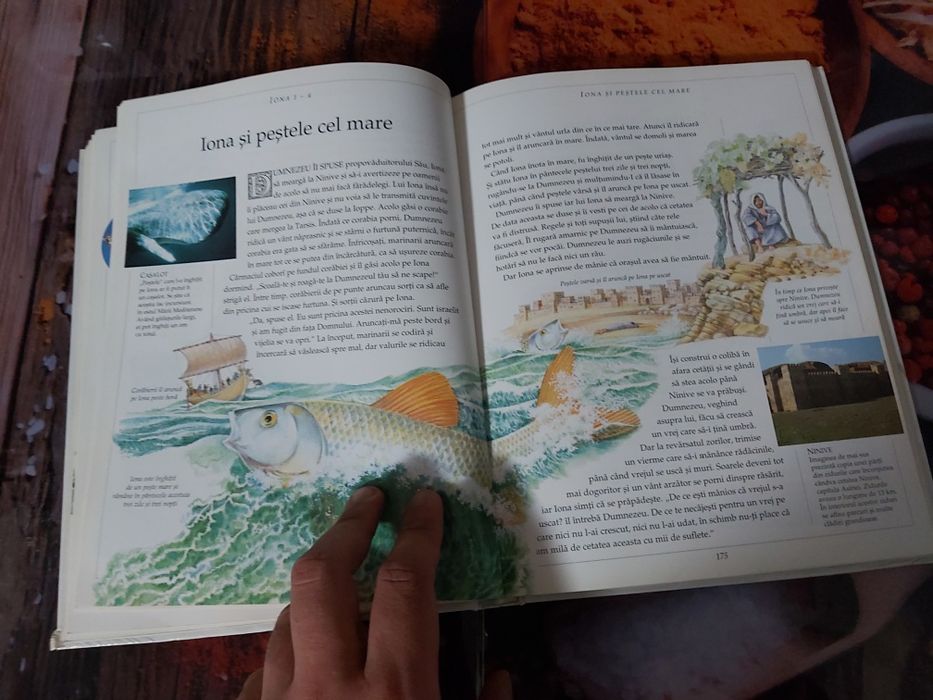 Biblia ilustrata. Carte.