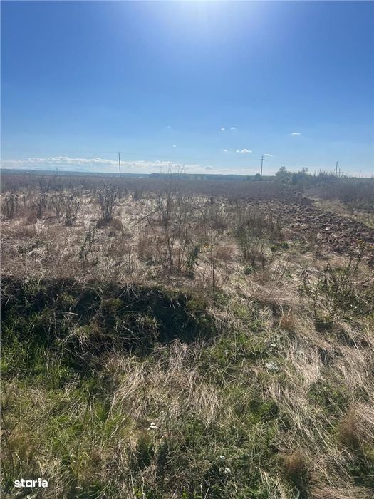 Teren Intre Les Si Pausa