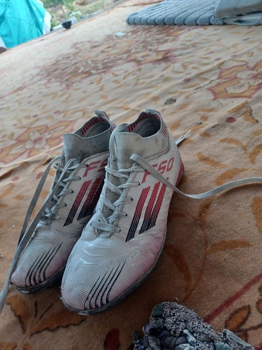 Saralanoshka f50