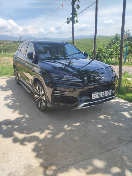 byd chempion smart kraska toza