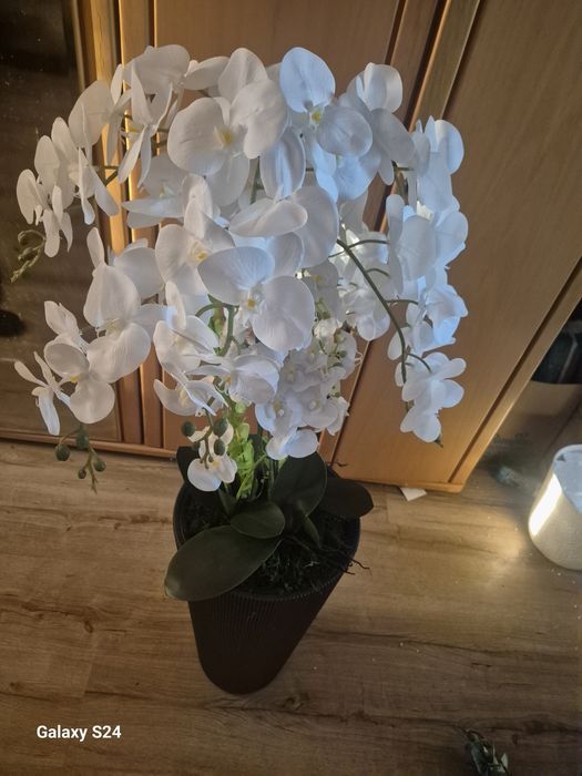 Orhidee silicon  dimensiune 125cm