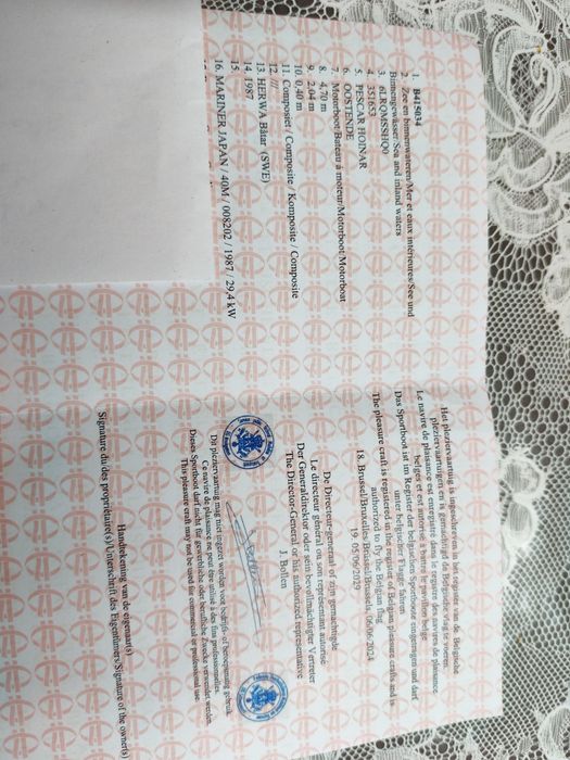 Barca cu motor  acoperita