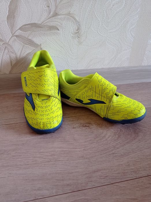 Сороконожка на липах