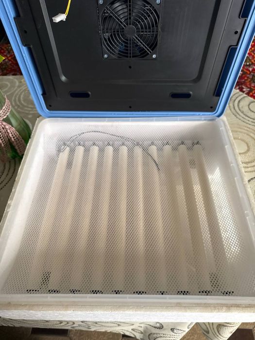 Inkubator tuxum o’chtirish uchun holati a’lo