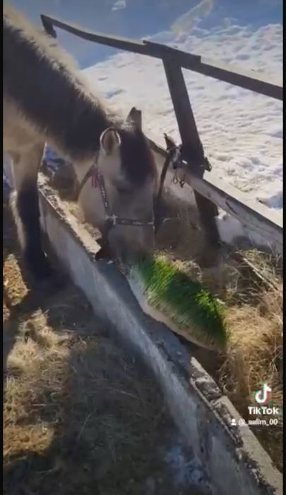 Бизнес в Караганде