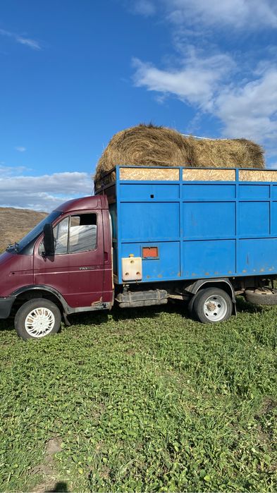 Услуги Газель грузоперевозки