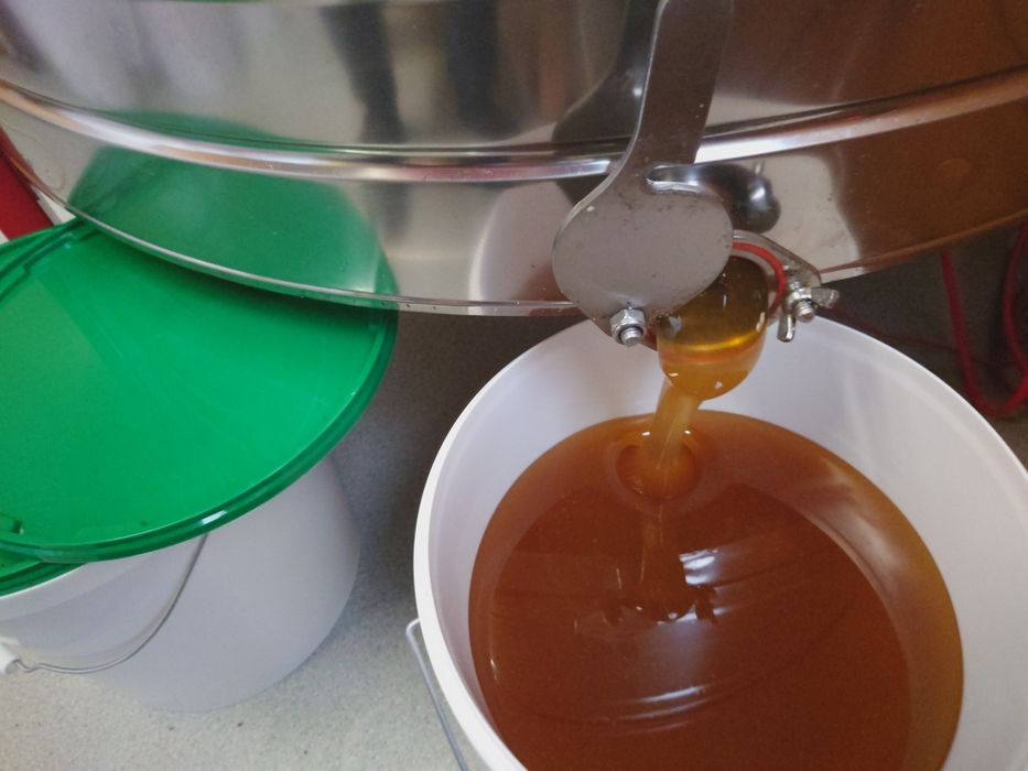 Мёд со своей пасеки.