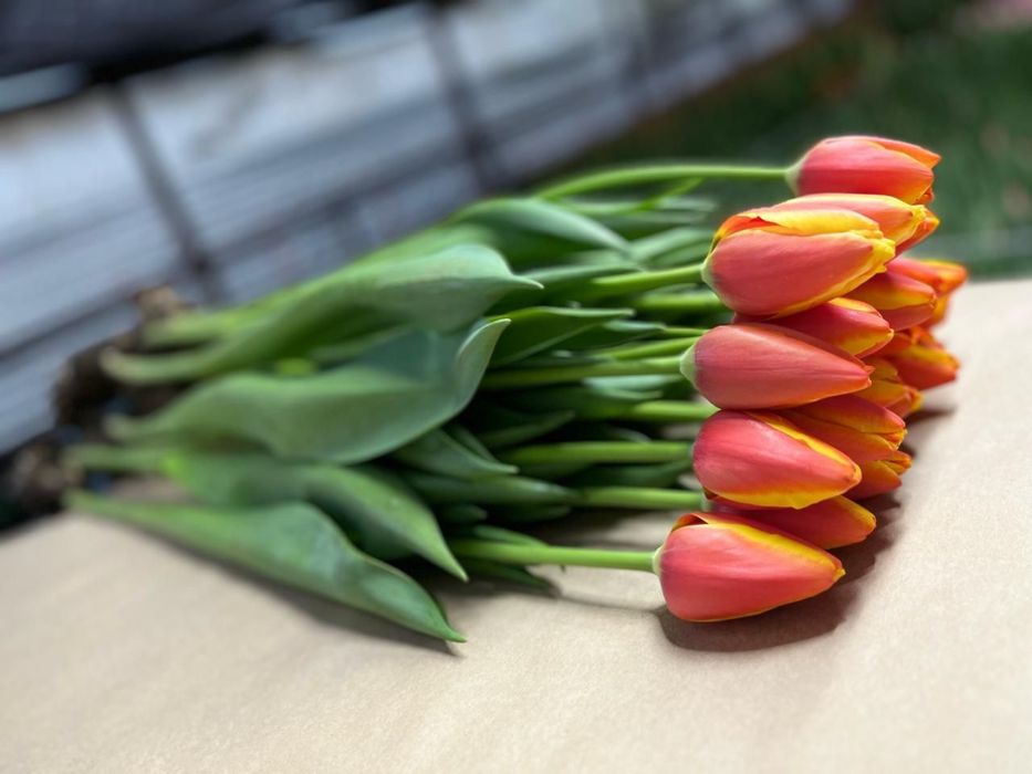 Цветы доставка букетов