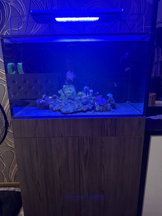 Морской аквариум