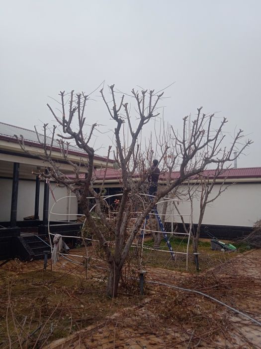 Sadovnik bogbon landshaft xizmati