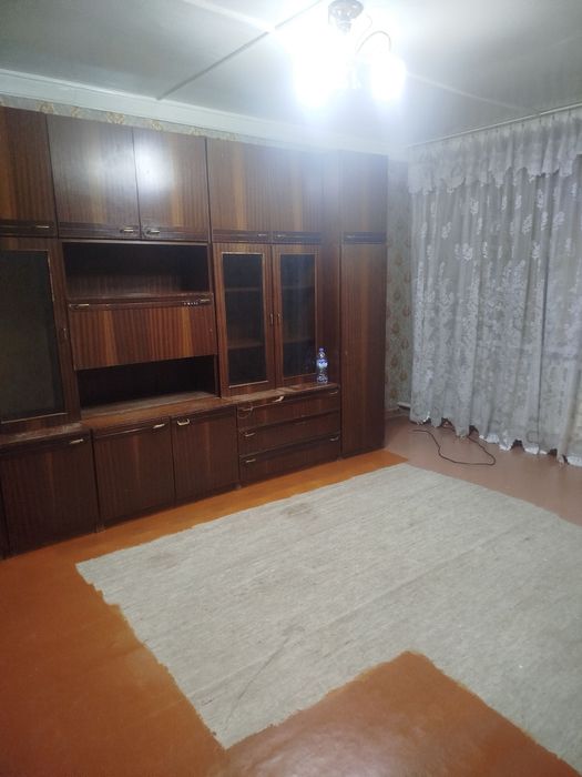 Спутник 1 1/1/2 250& чистая