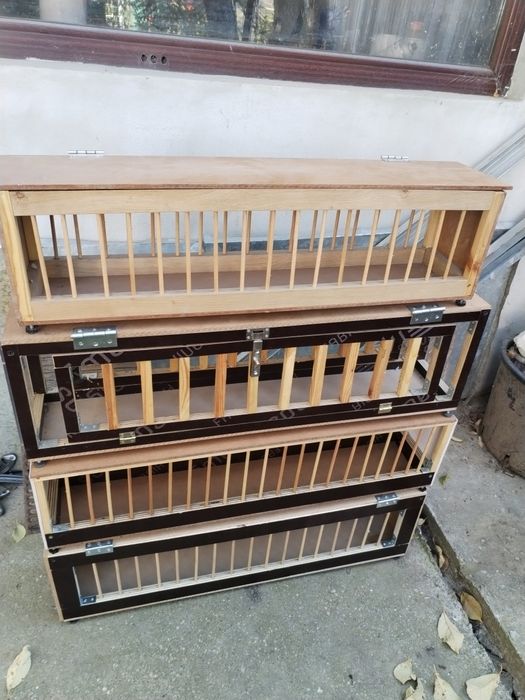 Accesorii porumbei și papagali