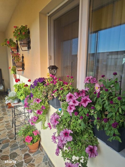 Apartament 4 camere, 2 bai, Micalaca - Miorita, 92 mp, renovat