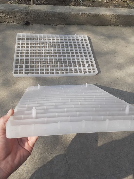 Бөдене жұмыртқасына