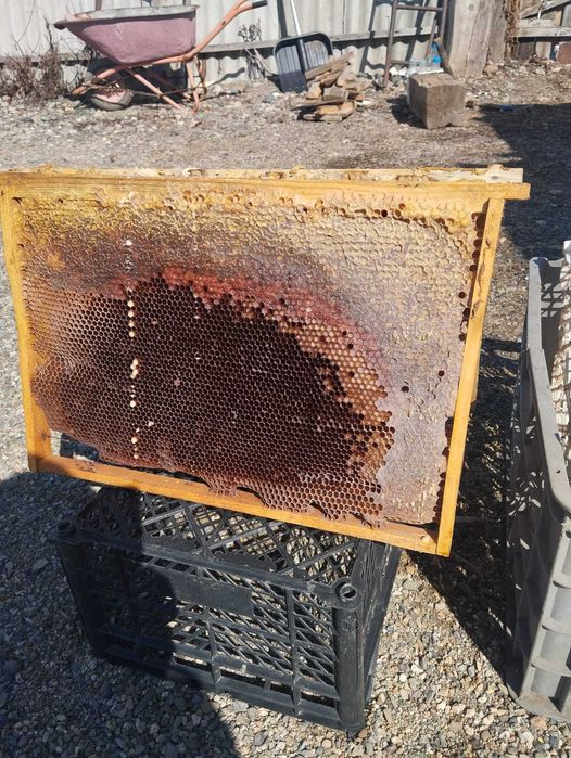 Продам маломедные рамки, а также сушь