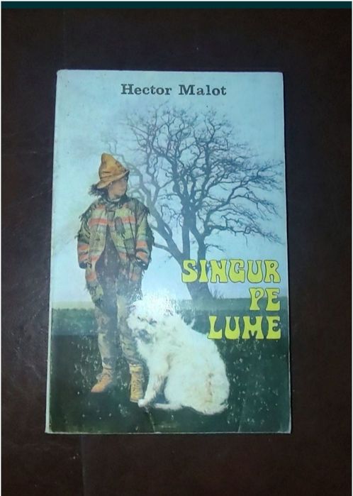 Singur pe lume- Hector Malot