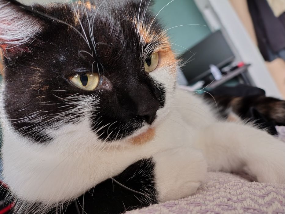 Графический планшет Wacom CTL-671