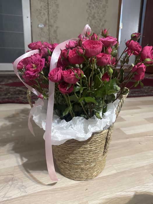 Букет бу вчера подарили мне