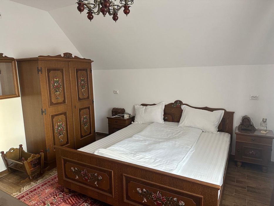 Vila de închiriat – locație deosebită (jud. Buzău, com. Odaile)