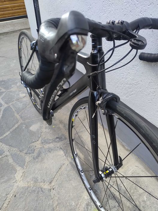 Cursiera Lombardo Imola 6 carbon marime S (51cm) cu factura originala