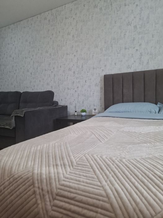 20 мкр, 1  комнатные посуточно