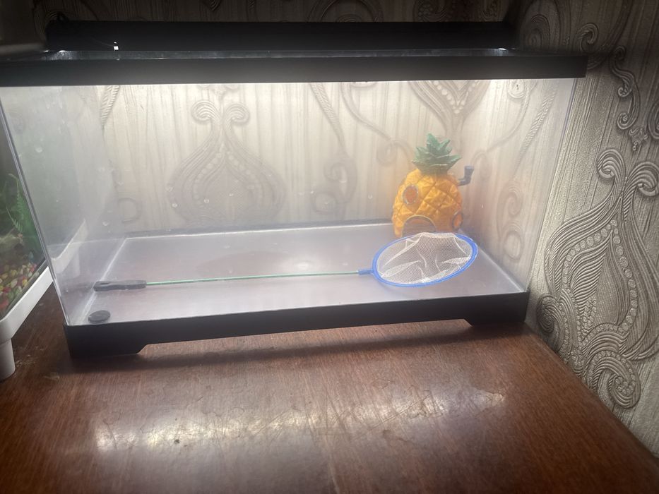 Продется аквариум   с  сачком и домиком