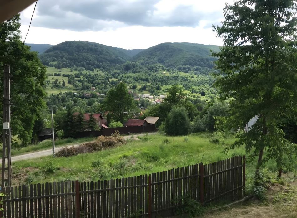 Casă/Cabană de vânzare