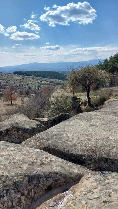 Продава се Къща в с. Невестино, Област Кюстендил - 80 кв.м за 211 €/кв.м - Снимка #12