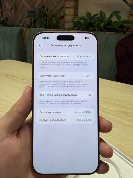 17 PRO MAX 256 100% 40цикл