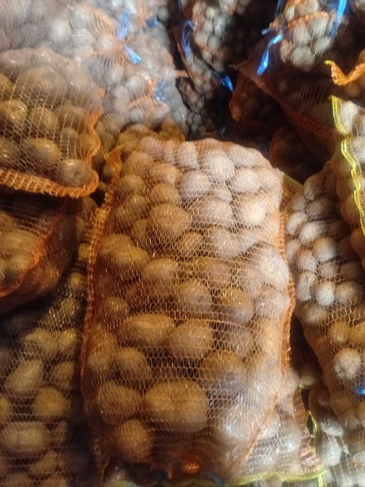 Cartof consum si samanta