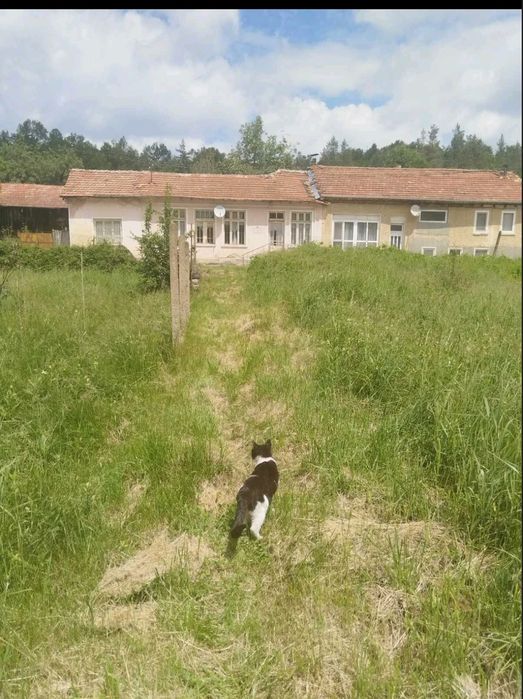 Продавам къща  с. Белица,общ.Трявня