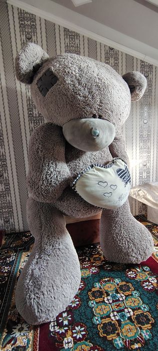 Teddyni eng kottasi arginal