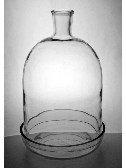 Флорариум 10 литров