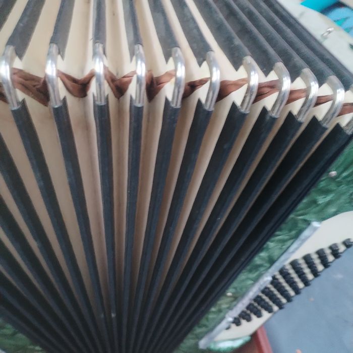 Acordeon Timiș...
