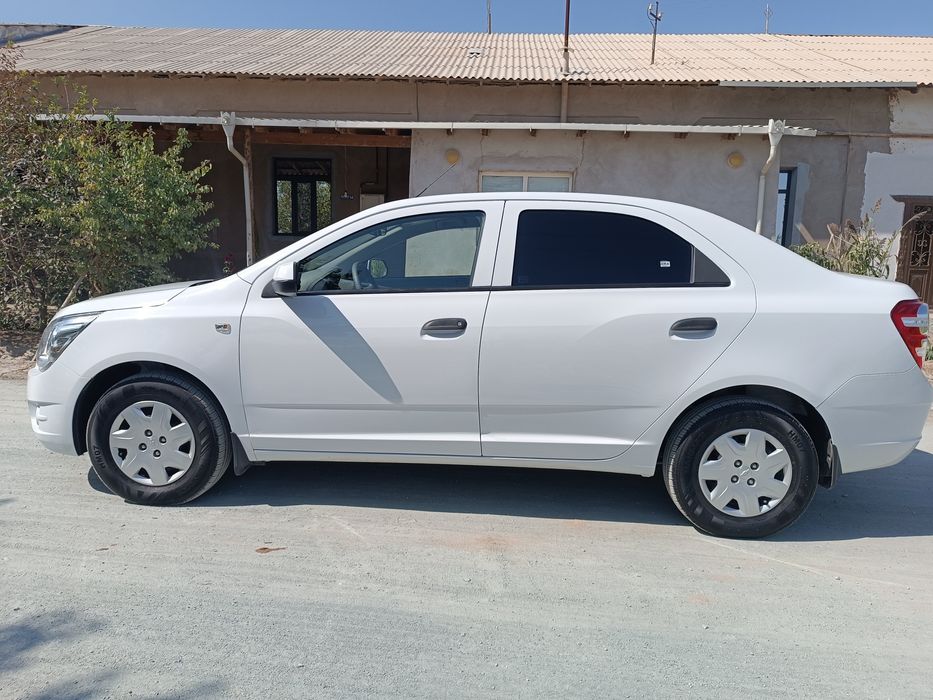 2019 йил 2-пазитция