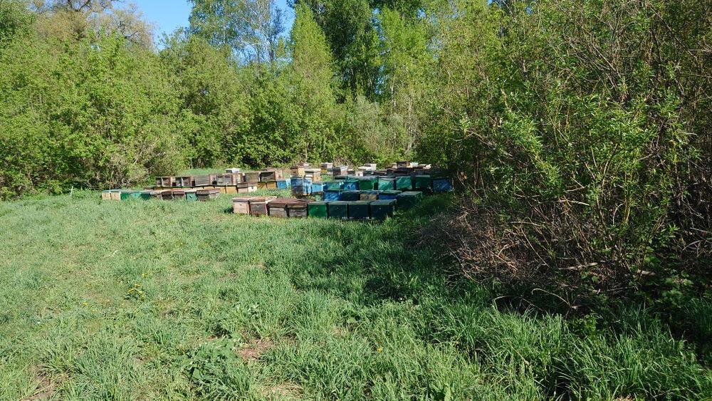 Мед Усть Каменогорский