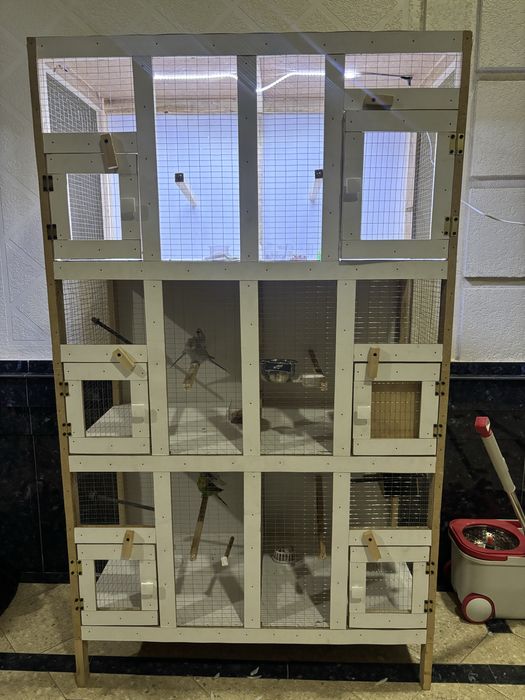 Qafas sotiladi valer