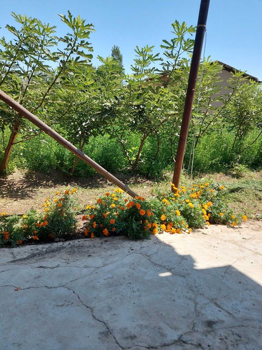 40 сотка ферма парник курса булади